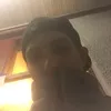 Štēvê Rēññēr - @tvrr1 - TikTok