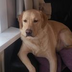Steve Renshaw - @steve.renshaw - Instagram