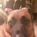 Steven Renshaw - @renshawsteven201 - Instagram