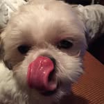 Steve Ricci - @stevenricciphotography - Instagram