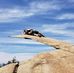Steven Rickard - Facebook