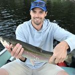 Steve_riddell - @steve_riddell - Instagram