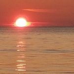 Steve Riddell - @steve.riddell.142 - Instagram