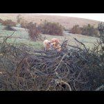 @steveridge - Instagram