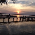 Steve Ridout - @sridout - Instagram