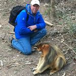 Steve Ridout - @ridoutsteve - Instagram