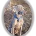 Steve Rieck - Facebook