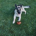 Steve Rieger - @riegerman223 - Instagram