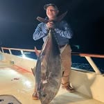 Steve Ringo - @sjringo - Instagram