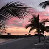 Steve Priser - @steve.priser - TikTok