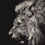 Steve Rister - @steve.tattoo - Instagram