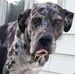 Steve Robison - Facebook