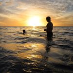 Steve Roche - @seroche - Instagram