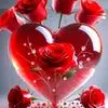 Steve Rockey - @steve.rockey2 - TikTok
