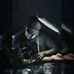 Steven Rodman - Facebook