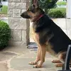 steverogge - @steve.rogge6 - TikTok