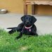 Steve Raylene Rohrbaugh - Facebook