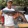 Steve Roper - @steve.roper - TikTok