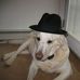 Steven Rosenbloom - Facebook
