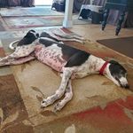 Steve Rounds - @steverounds - Instagram