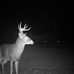 Steve Roush - Facebook