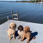 Steve Roush - @srpharmd - Instagram
