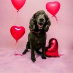 Steve Rowell - @farow56btinternet.com_ - Instagram