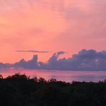 Steven Rowell - @steve.rowell - Instagram