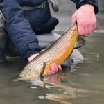 Steve Ruda - @fly_snob_steve - Instagram
