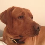 Steve Runge - @sangoray54 - Instagram