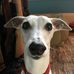 Steven Rupp - Facebook
