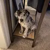 Steven Truzzolino - @steventruzzolino - TikTok