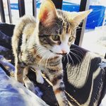 Steve Seungbum Ryu - @steve.s.ryu - Instagram