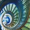 steve salmon - @steve.salmon8 - TikTok