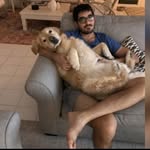 Steven Sandberg - @stevenbsandberg - Instagram