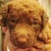 Steve Satterlee - Facebook