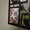 Steve Sayers - @steve.sayers4 - TikTok
