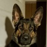 Donna Scallan - @steve.scallan.5 - Instagram