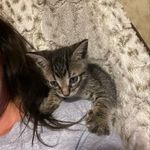 Steven Scallan - @jennifer_foofoo - Instagram