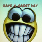 Steve Schaefer - @steve2011catdog - Instagram