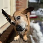 Steve Schaller - @sschallr - Instagram