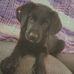 Steve Shearrer - Facebook