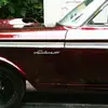 Steven Schiffer - @steven.schiffer - TikTok