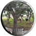 Stephen S. Schiffman - Facebook