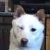 Steven Schlossberg - Facebook