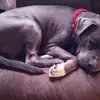 Steve Schmid - @steve.schmid0 - TikTok