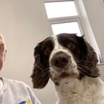 Steve Schofield - @schoie61 - Instagram
