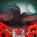 Stephen Scholten - Facebook