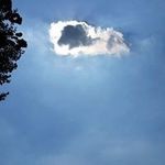 Steven Scholten - @scholten.steven - Instagram