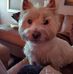 Steven Schoonover - Facebook